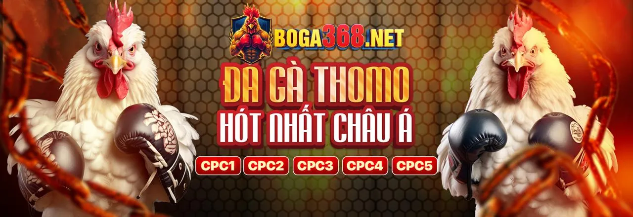Đá Gà Trực Tuyến Gamebet
